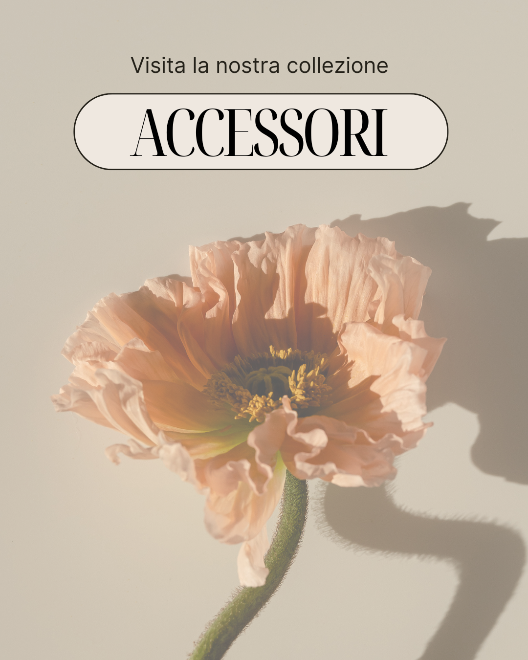 Accessori